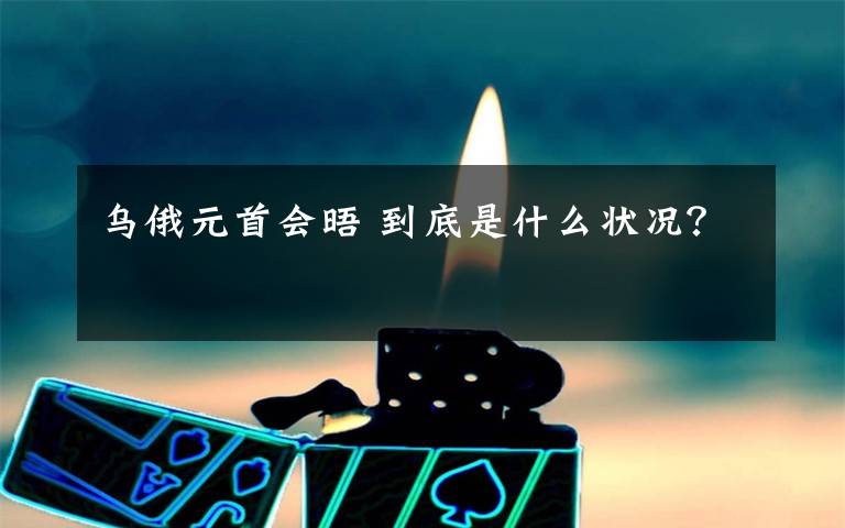 乌俄元首会晤 到底是什么状况?