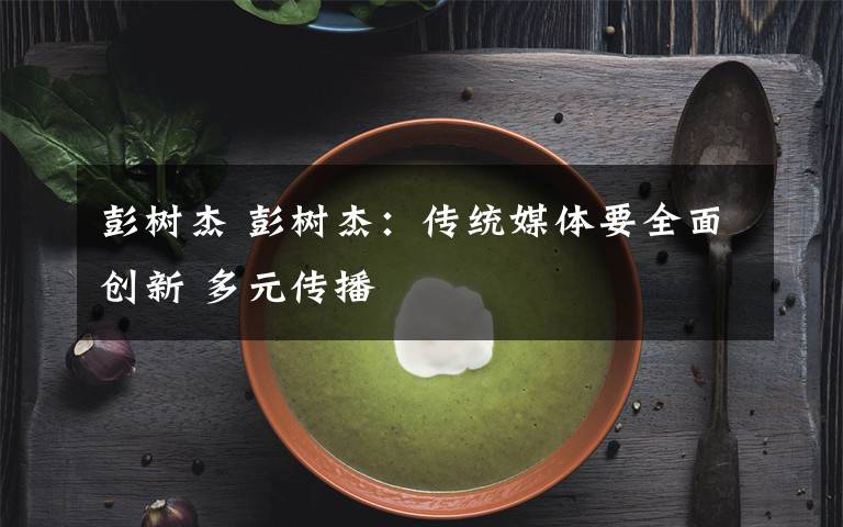 彭树杰 彭树杰：传统媒体要全面创新 多元传播