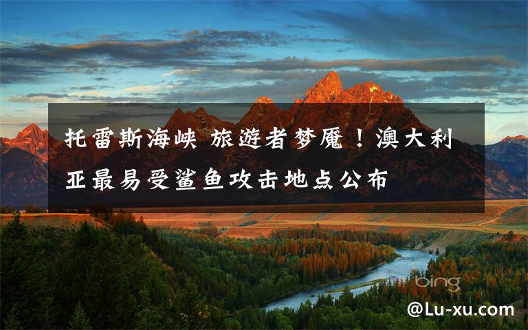 托雷斯海峡 旅游者梦魇!澳大利亚最易受鲨鱼攻击地点公布