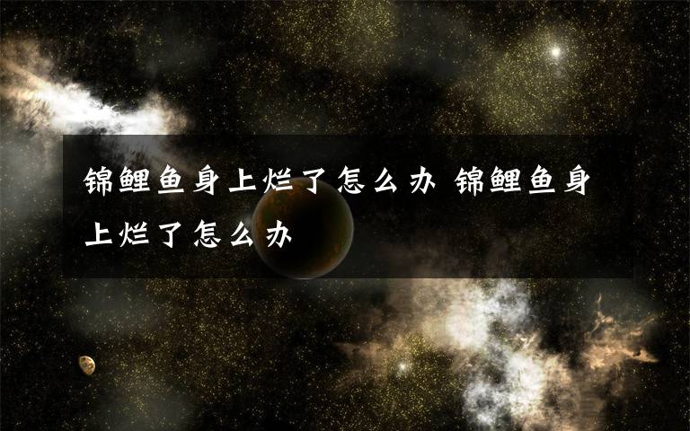 锦鲤鱼身上烂了怎么办 锦鲤鱼身上烂了怎么办