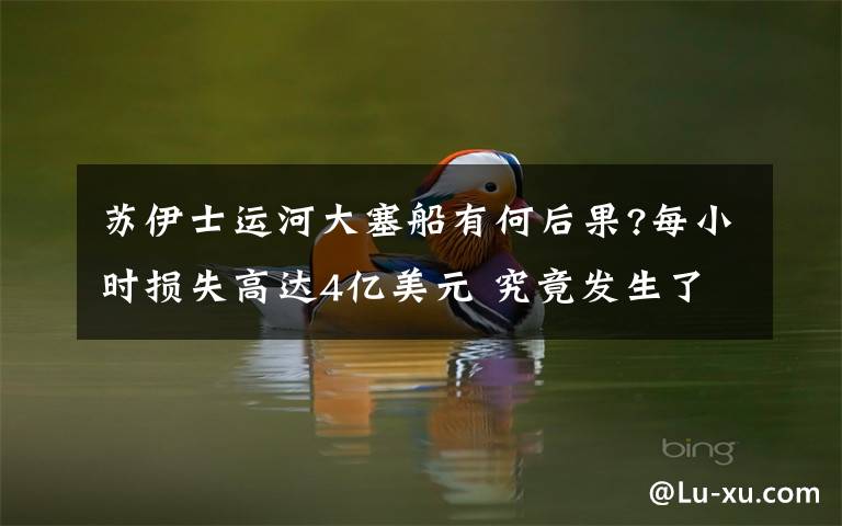 苏伊士运河大塞船有何后果?每小时损失高达4亿美元 究竟发生了什么?