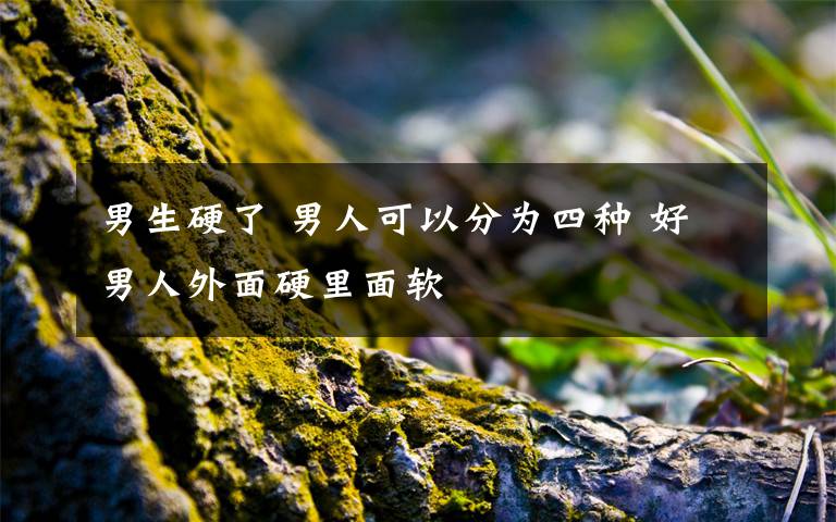 男生硬了 男人可以分为四种 好男人外面硬里面软