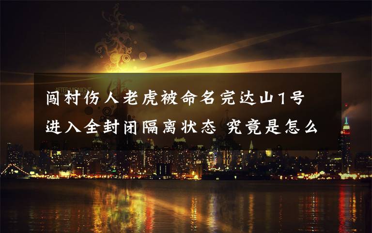 闯村伤人老虎被命名完达山1号 进入全封闭隔离状态 究竟是怎么一回事?