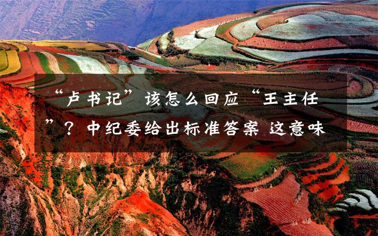 “卢书记”该怎么回应“王主任”?中纪委给出标准答案 这意味着什么?
