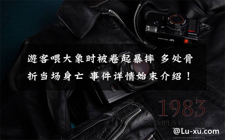 游客喂大象时被卷起暴摔 多处骨折当场身亡 事件详情始末介绍!