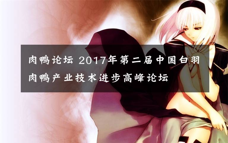肉鸭论坛 2017年第二届中国白羽肉鸭产业技术进步高峰论坛