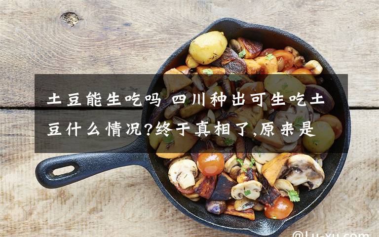 土豆能生吃吗 四川种出可生吃土豆什么情况?终于真相了,原来是这样!
