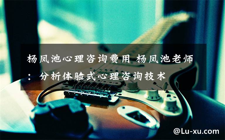杨凤池心理咨询费用 杨凤池老师:分析体验式心理咨询技术