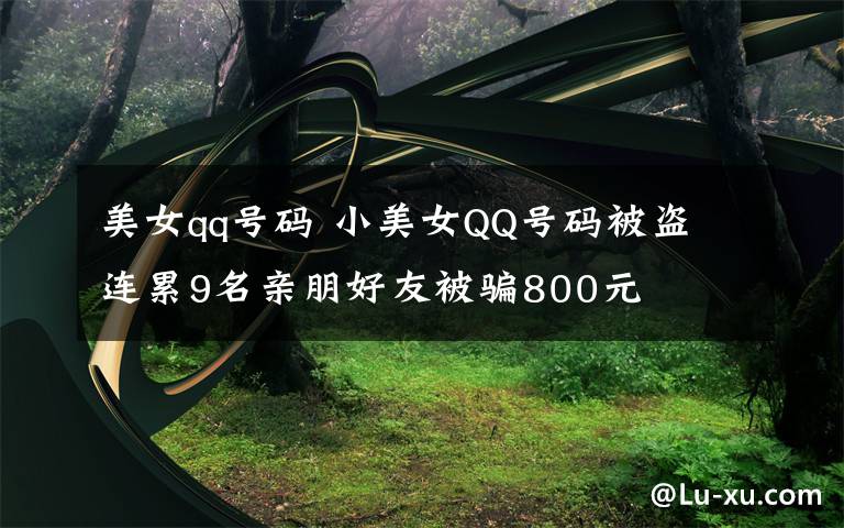 美女qq号码 小美女QQ号码被盗 连累9名亲朋好友被骗800元
