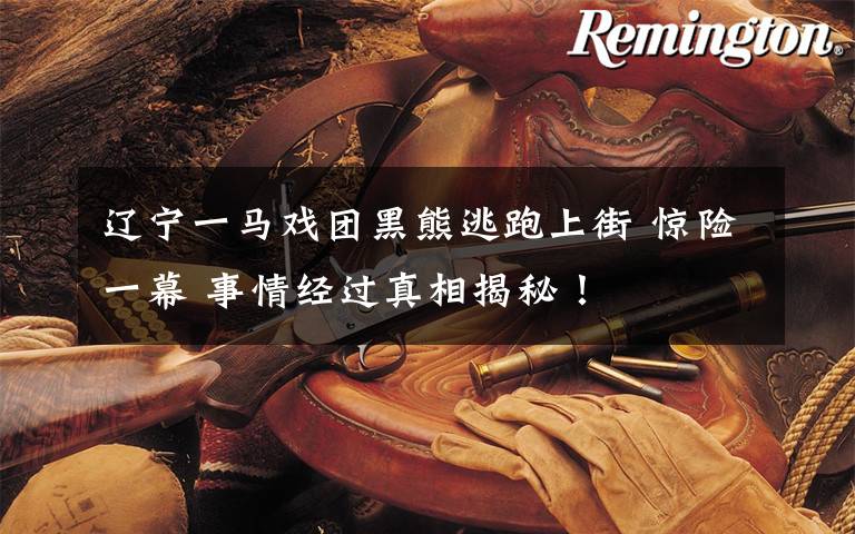 辽宁一马戏团黑熊逃跑上街 惊险一幕 事情经过真相揭秘!