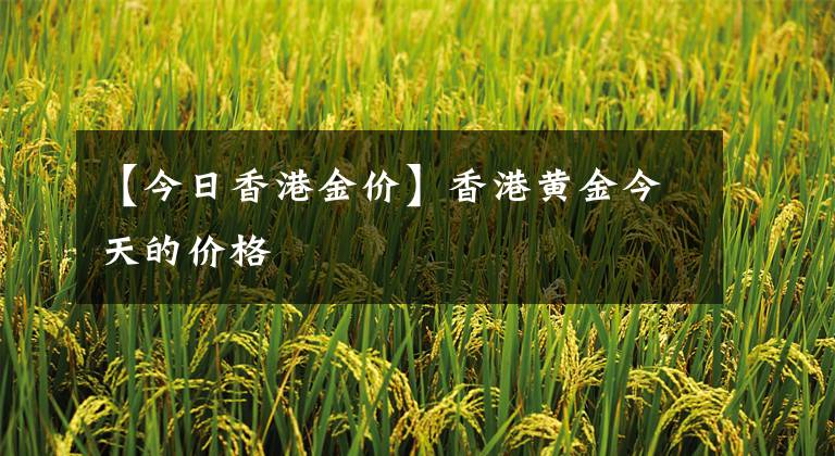 【今日香港金价】香港黄金今天的价格