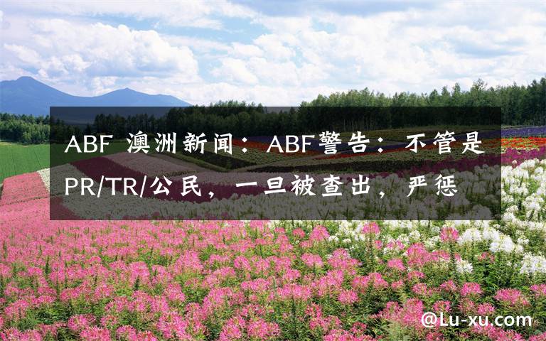 ABF 澳洲新闻:ABF警告:不管是PR/TR/公民,一旦被查出,严惩不贷!
