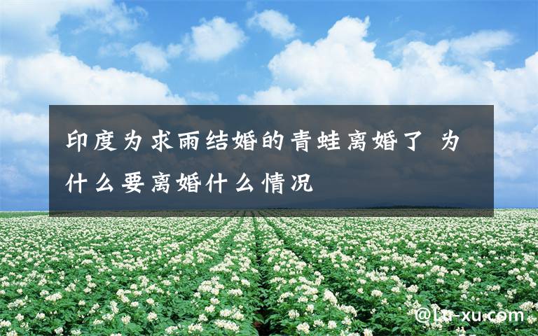 印度为求雨结婚的青蛙离婚了 为什么要离婚什么情况