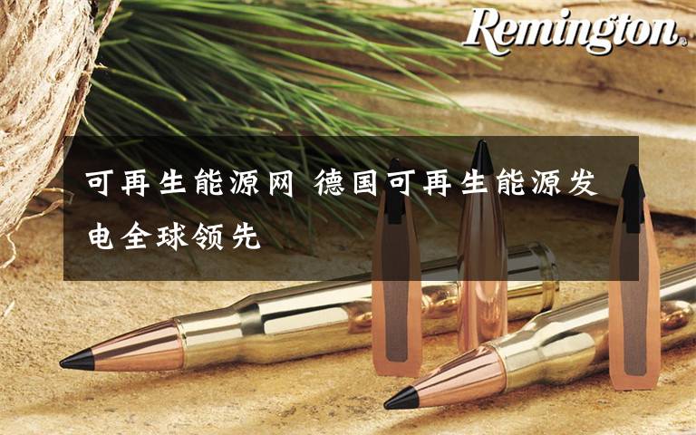 可再生能源网 德国可再生能源发电全球领先