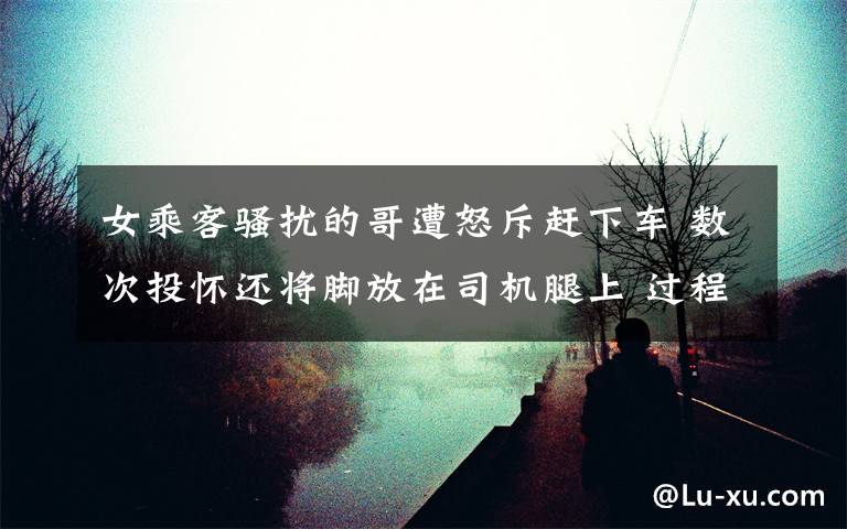 女乘客骚扰的哥遭怒斥赶下车 数次投怀还将脚放在司机腿上 过程真相详细揭秘!