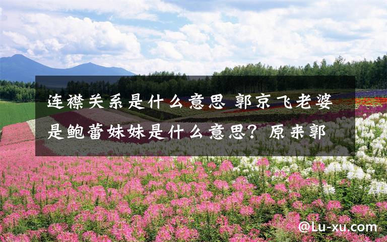 连襟关系是什么意思 郭京飞老婆是鲍蕾妹妹是什么意思？原来郭京飞陆毅是连襟关系