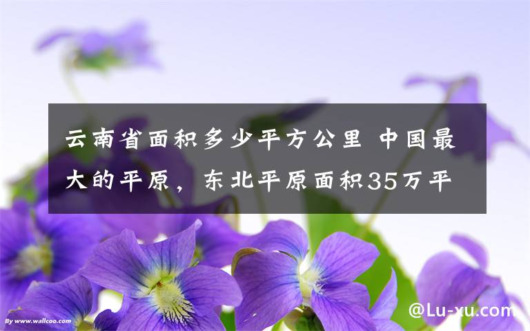云南省面积多少平方公里 中国最大的平原,东北平原面积35万平方千米