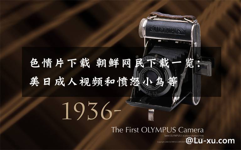 色情片下载 朝鲜网民下载一览：美日成人视频和愤怒小鸟等