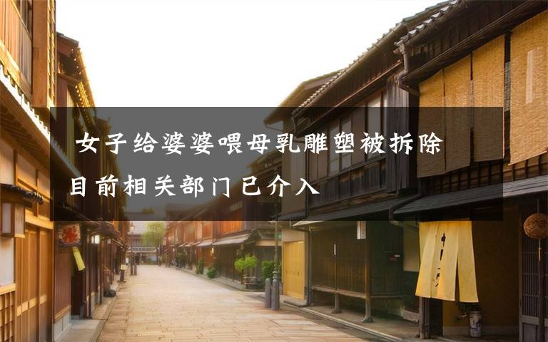  女子给婆婆喂母乳雕塑被拆除 目前相关部门已介入