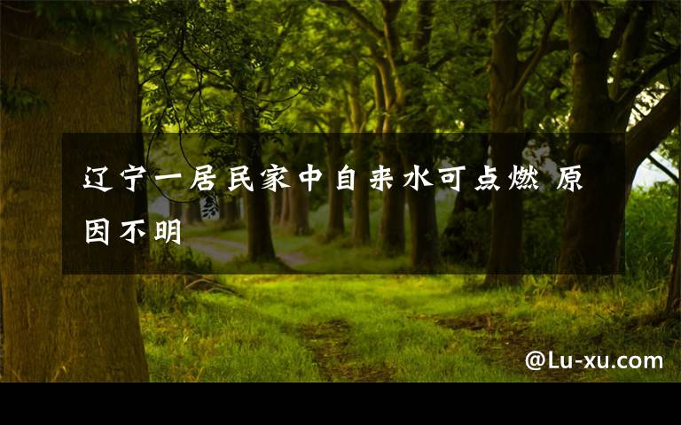 辽宁一居民家中自来水可点燃 原因不明