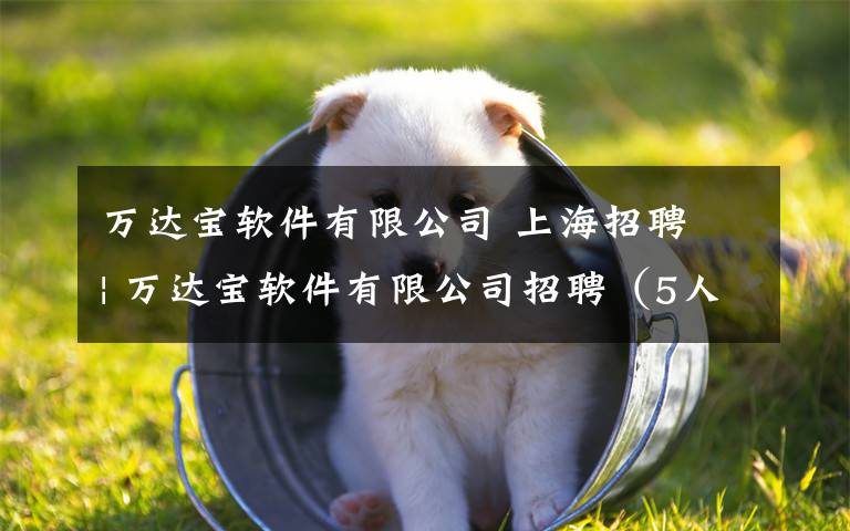 万达宝软件有限公司 上海招聘 | 万达宝软件有限公司招聘(5人)