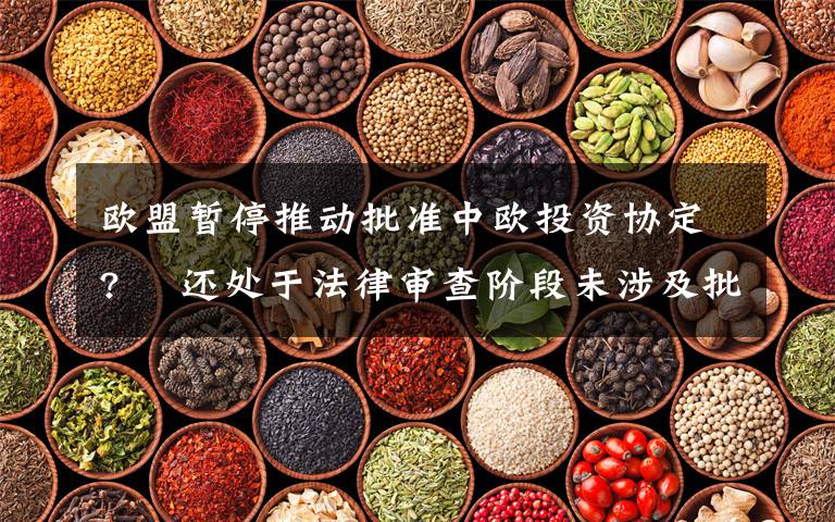 欧盟暂停推动批准中欧投资协定?  还处于法律审查阶段未涉及批准进程 具体是什么情况?