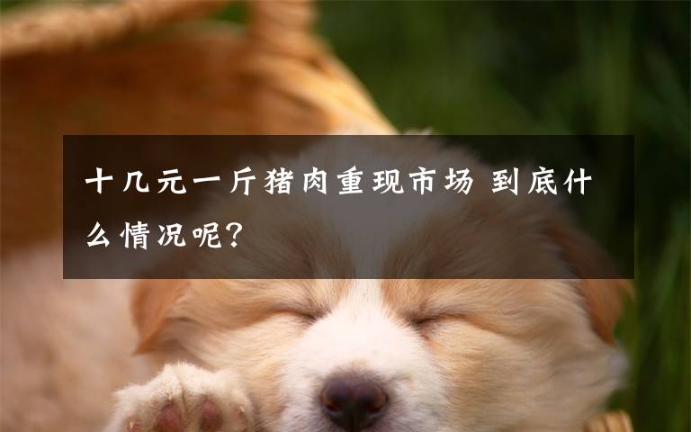 十几元一斤猪肉重现市场 到底什么情况呢？