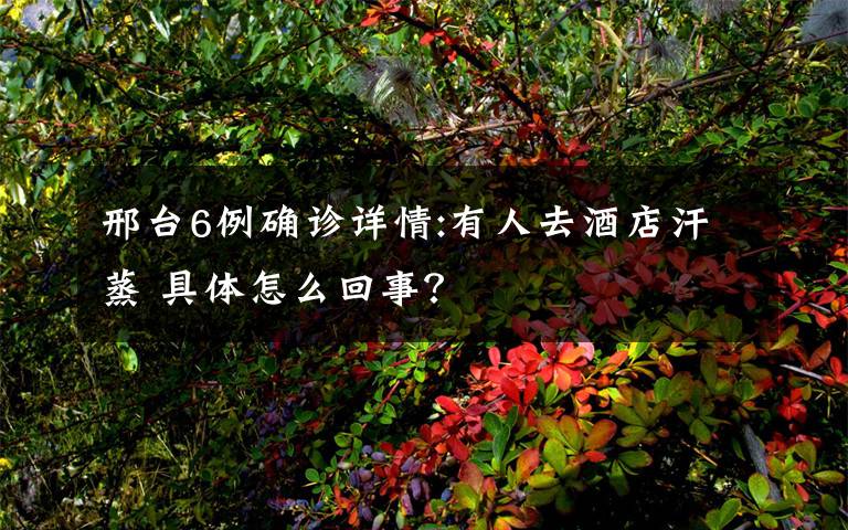 邢台6例确诊详情:有人去酒店汗蒸 具体怎么回事?