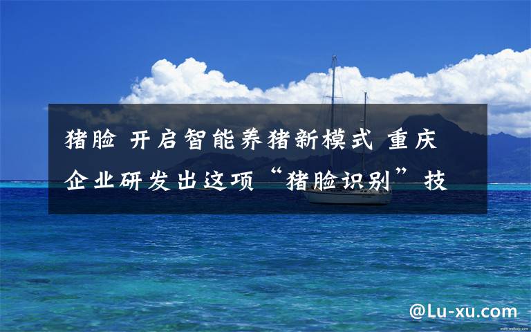 猪脸 开启智能养猪新模式 重庆企业研发出这项“猪脸识别”技术