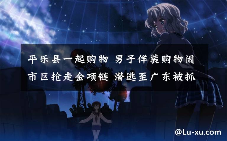 平乐县一起购物 男子佯装购物闹市区抢走金项链 潜逃至广东被抓获