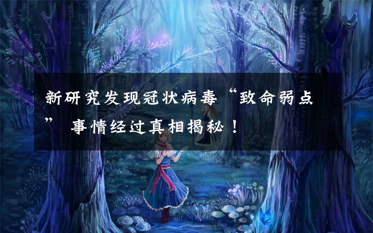 新研究发现冠状病毒“致命弱点” 事情经过真相揭秘!