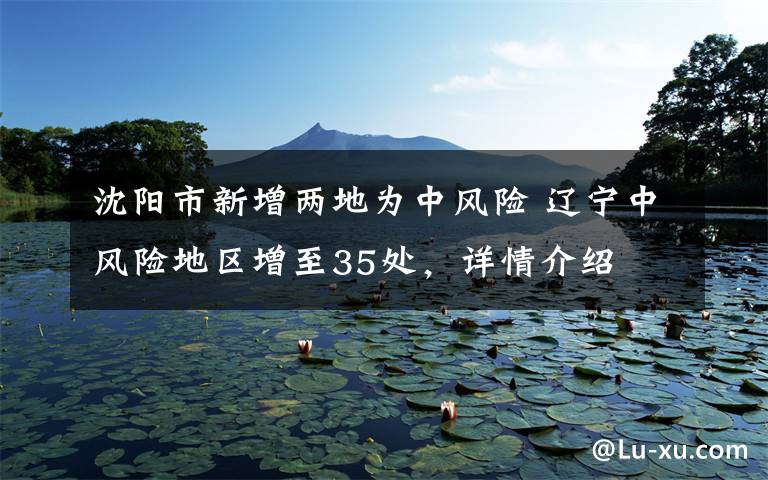沈阳市新增两地为中风险 辽宁中风险地区增至35处,详情介绍