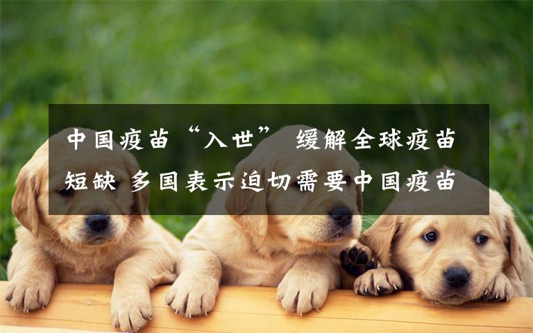 中国疫苗“入世” 缓解全球疫苗短缺 多国表示迫切需要中国疫苗 事情经过真相揭秘！