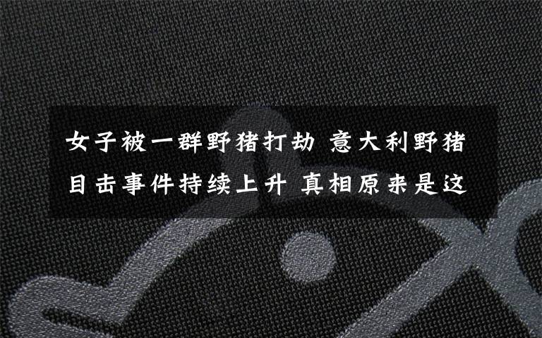 女子被一群野猪打劫 意大利野猪目击事件持续上升 真相原来是这样!