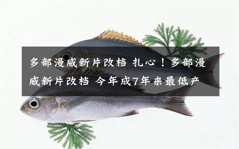 多部漫威新片改档 扎心!多部漫威新片改档 今年成7年来最低产一年