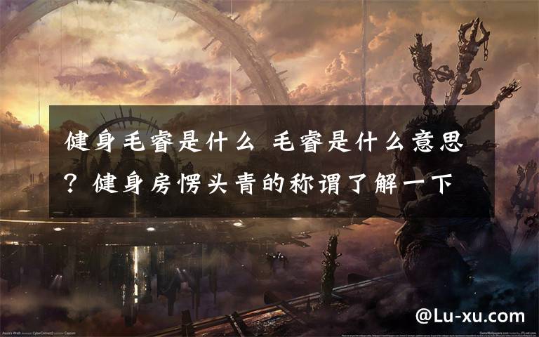 健身毛睿是什么 毛睿是什么意思?健身房愣头青的称谓了解一下