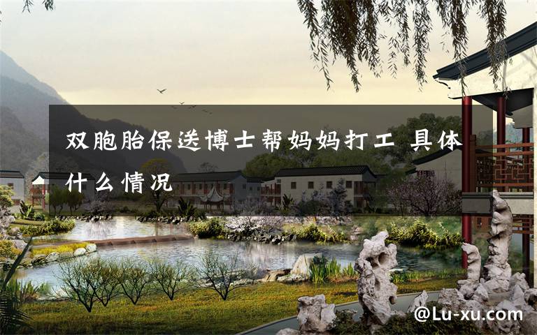 双胞胎保送博士帮妈妈打工 具体什么情况