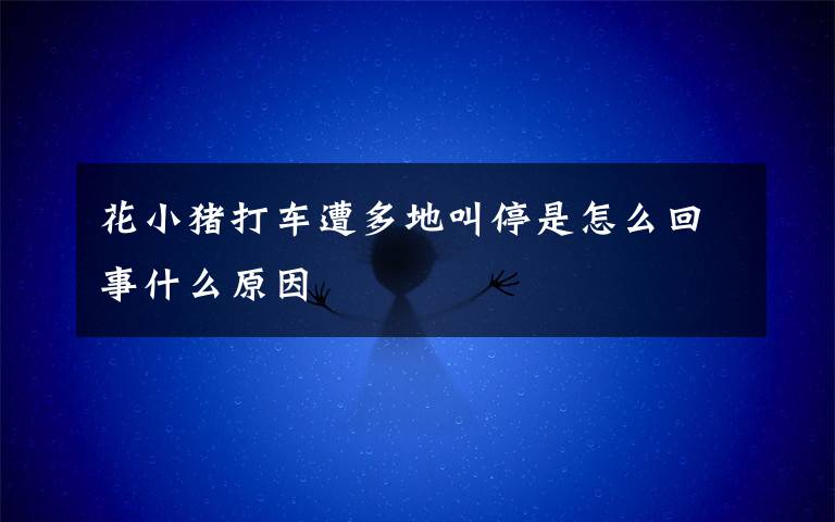 花小猪打车遭多地叫停是怎么回事什么原因