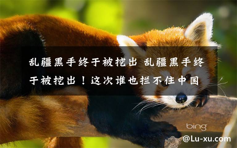 乱疆黑手终于被挖出 乱疆黑手终于被挖出!这次谁也拦不住中国报仇