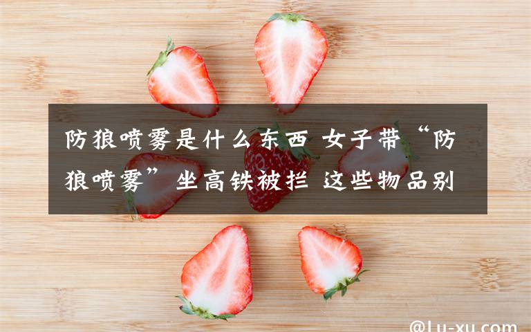 防狼喷雾是什么东西 女子带“防狼喷雾”坐高铁被拦 这些物品别带上火车