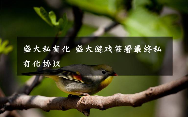 盛大私有化 盛大游戏签署最终私有化协议