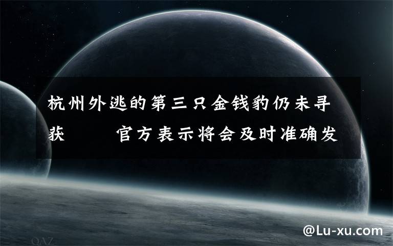 杭州外逃的第三只金钱豹仍未寻获   官方表示将会及时准确发布工作进展情况 过程真相详细揭秘!