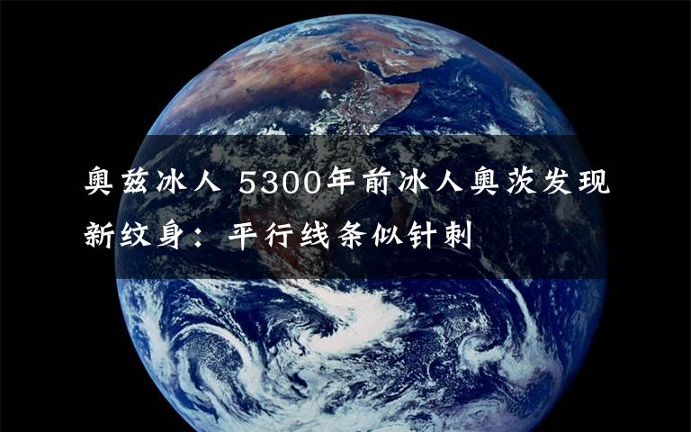 奥兹冰人 5300年前冰人奥茨发现新纹身：平行线条似针刺