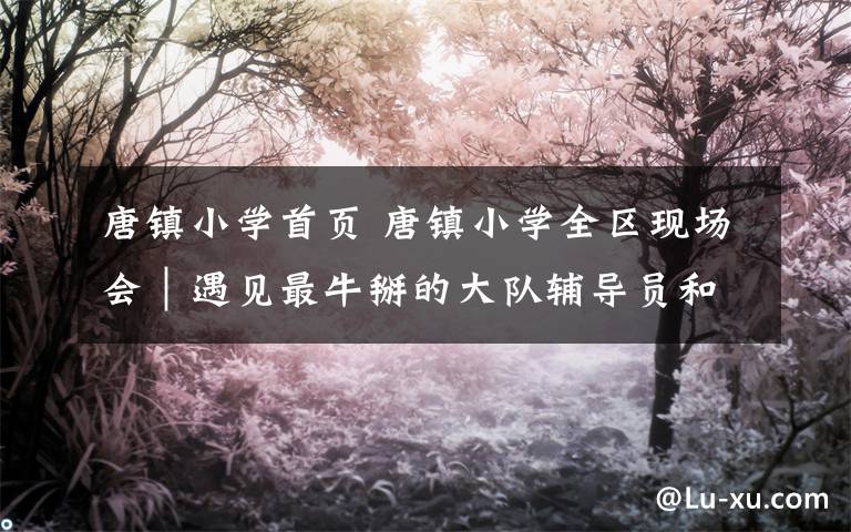 唐镇小学首页 唐镇小学全区现场会|遇见最牛掰的大队辅导员和最萌的少先队员......