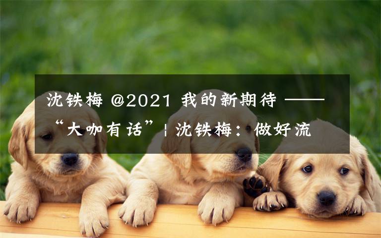 沈铁梅 @2021 我的新期待 ——“大咖有话”| 沈铁梅:做好流浪动物源头管理,规范管理宠物医院