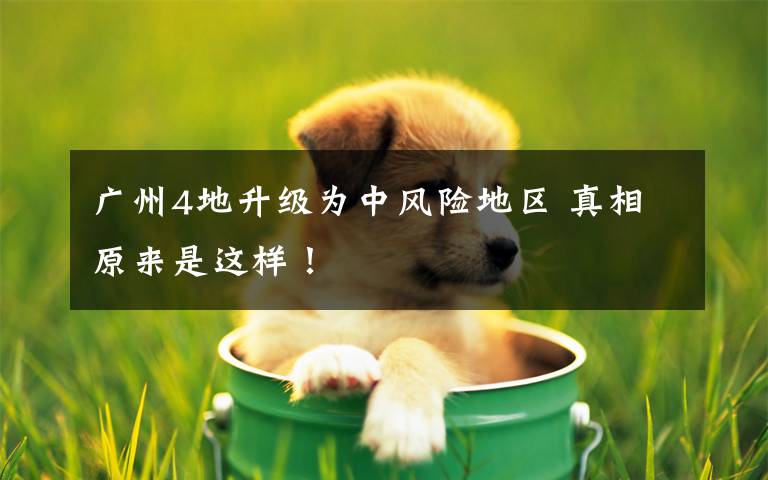 广州4地升级为中风险地区 真相原来是这样!