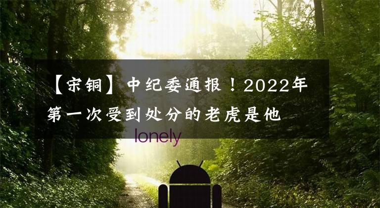 【宋铜】中纪委通报!2022年第一次受到处分的老虎是他