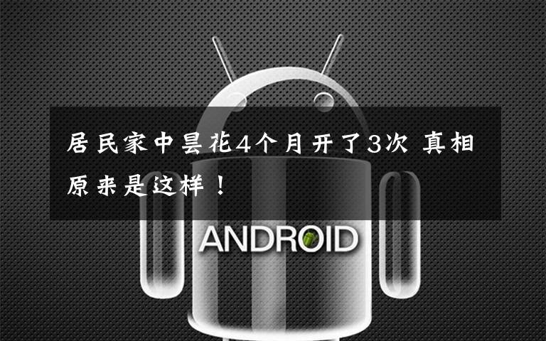 居民家中昙花4个月开了3次 真相原来是这样！