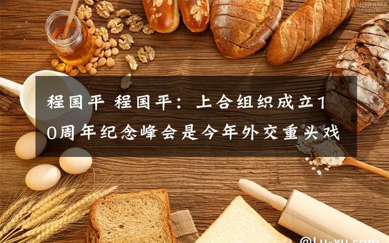 程国平 程国平：上合组织成立10周年纪念峰会是今年外交重头戏