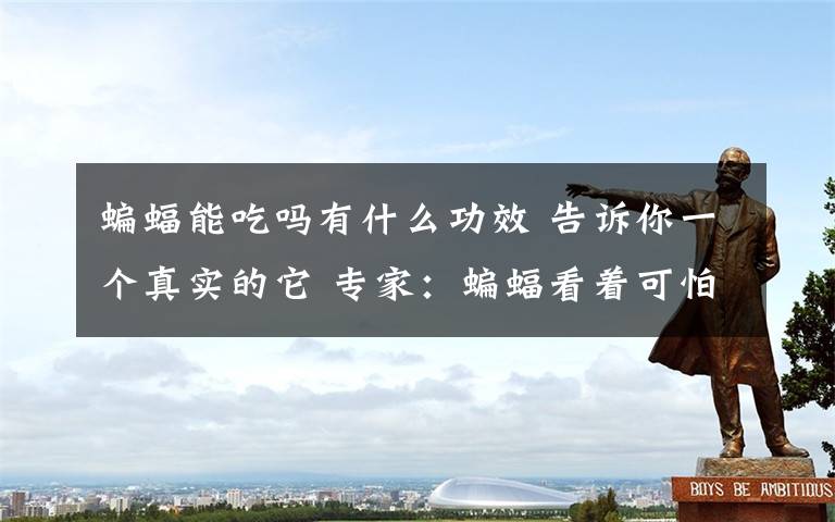 蝙蝠能吃吗有什么功效 告诉你一个真实的它 专家:蝙蝠看着可怕,但对维护生态平衡功不可没